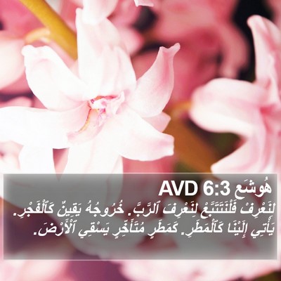 هُوشَع 6:3 AVD Bible Verse Image