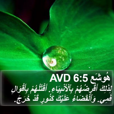 هُوشَع 6:5 AVD Bible Verse Image