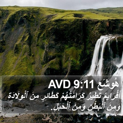 هُوشَع 9:11 AVD Bible Verse Image