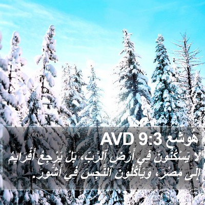هُوشَع 9:3 AVD Bible Verse Image