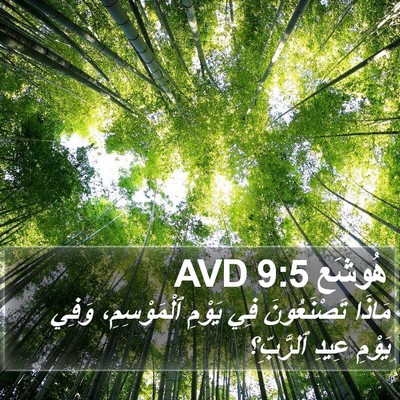 هُوشَع 9:5 AVD Bible Verse Image