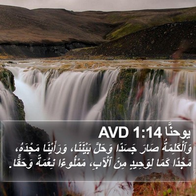 يوحنَّا 1:14 AVD Bible Verse Image