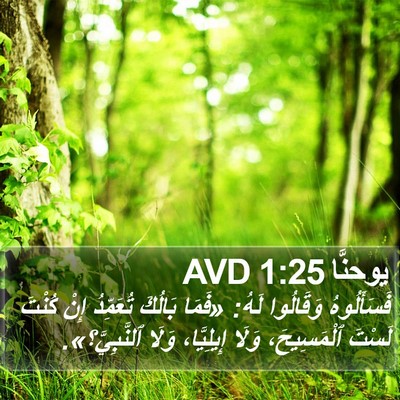 يوحنَّا 1:25 AVD Bible Verse Image
