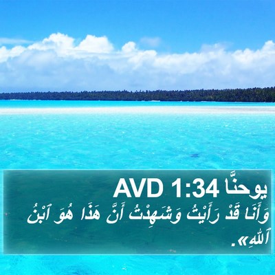 يوحنَّا 1:34 AVD Bible Verse Image