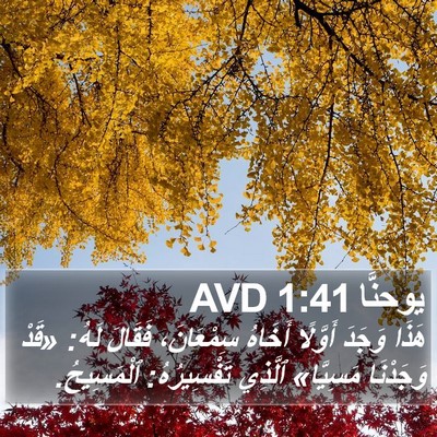 يوحنَّا 1:41 AVD Bible Verse Image