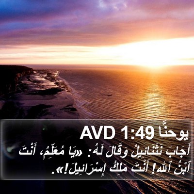 يوحنَّا 1:49 AVD Bible Verse Image