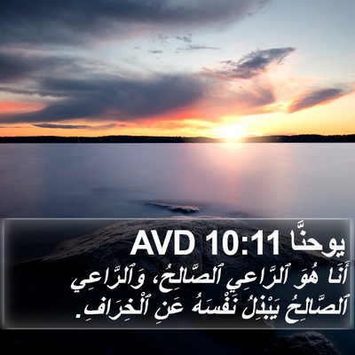 يوحنَّا 10:11 AVD Bible Verse Image
