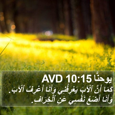 يوحنَّا 10:15 AVD Bible Verse Image