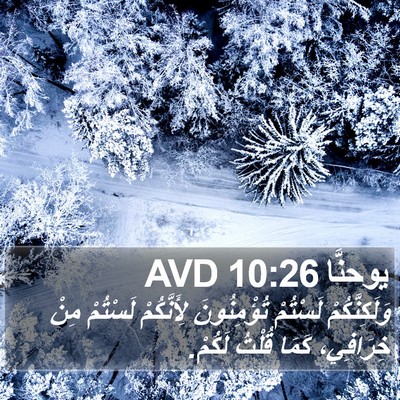 يوحنَّا 10:26 AVD Bible Verse Image