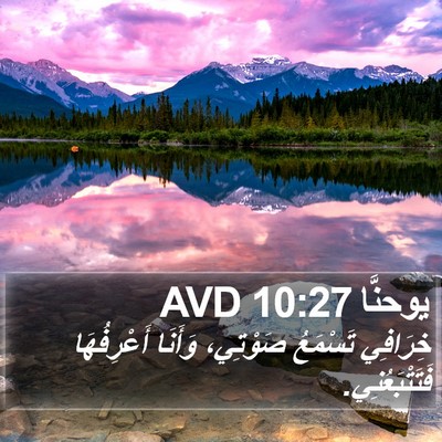يوحنَّا 10:27 AVD Bible Verse Image