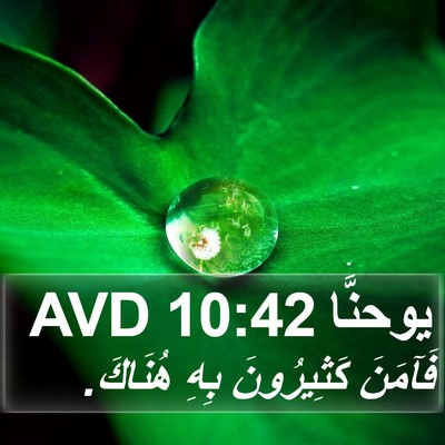 يوحنَّا 10:42 AVD Bible Verse Image