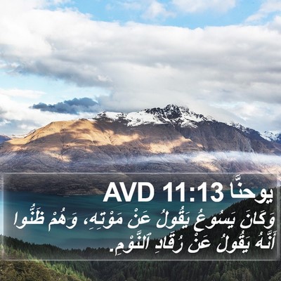 يوحنَّا 11:13 AVD Bible Verse Image