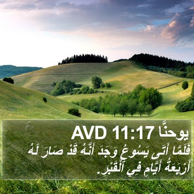 يوحنَّا 11:17 AVD Bible Verse Image