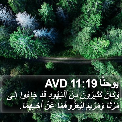 يوحنَّا 11:19 AVD Bible Verse Image