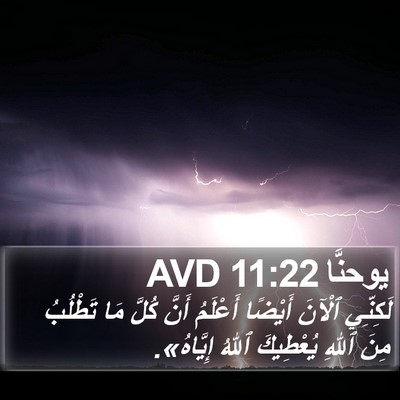 يوحنَّا 11:22 AVD Bible Verse Image