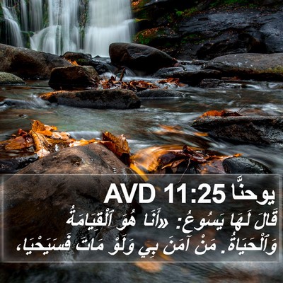يوحنَّا 11:25 AVD Bible Verse Image