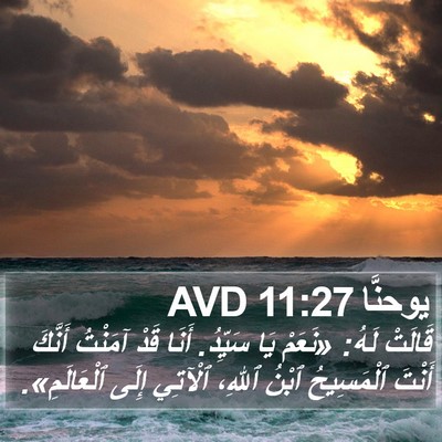 يوحنَّا 11:27 AVD Bible Verse Image