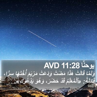 يوحنَّا 11:28 AVD Bible Verse Image
