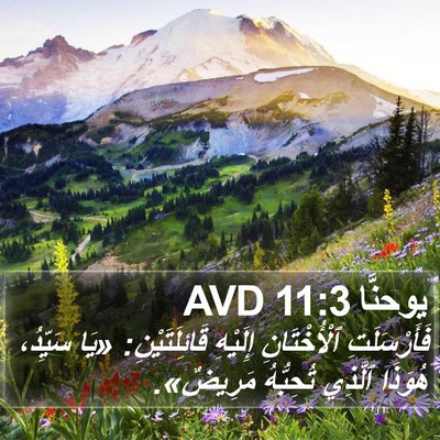 يوحنَّا 11:3 AVD Bible Verse Image