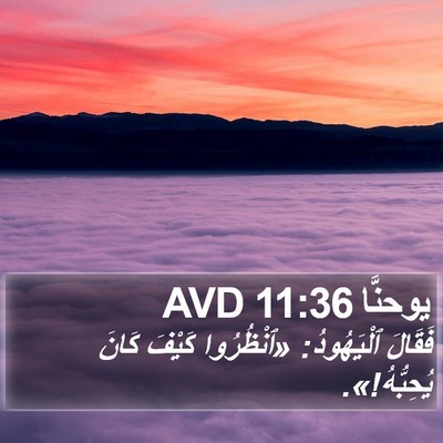 يوحنَّا 11:36 AVD Bible Verse Image