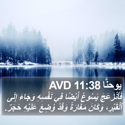 يوحنَّا 11:38 AVD Bible Verse Image