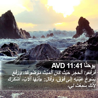 يوحنَّا 11:41 AVD Bible Verse Image