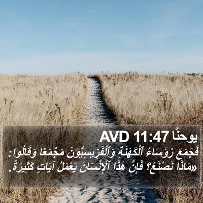 يوحنَّا 11:47 AVD Bible Verse Image