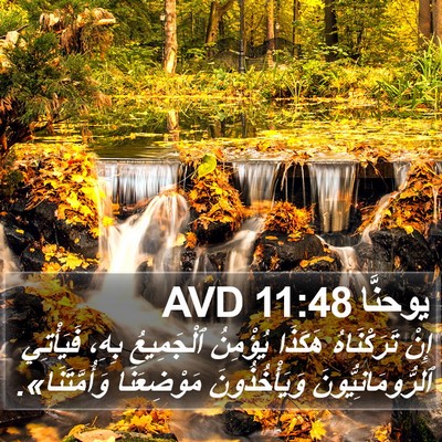 يوحنَّا 11:48 AVD Bible Verse Image