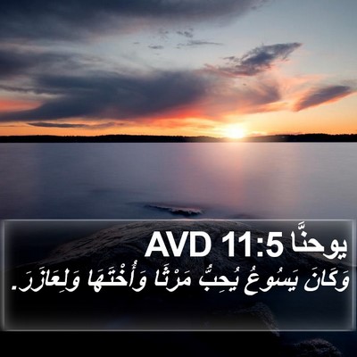 يوحنَّا 11:5 AVD Bible Verse Image
