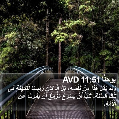 يوحنَّا 11:51 AVD Bible Verse Image