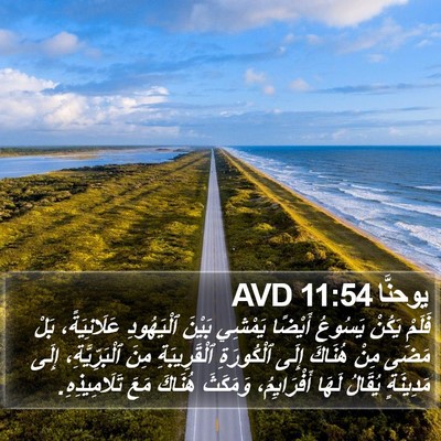 يوحنَّا 11:54 AVD Bible Verse Image