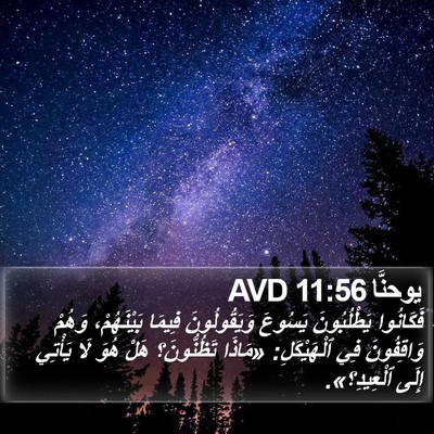 يوحنَّا 11:56 AVD Bible Verse Image