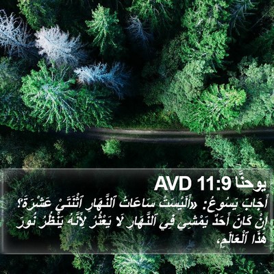 يوحنَّا 11:9 AVD Bible Verse Image