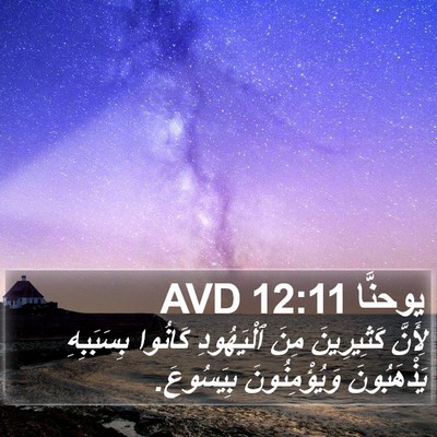 يوحنَّا 12:11 AVD Bible Verse Image