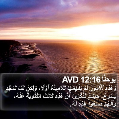 يوحنَّا 12:16 AVD Bible Verse Image