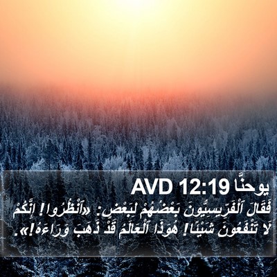 يوحنَّا 12:19 AVD Bible Verse Image