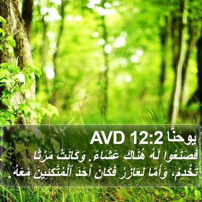 يوحنَّا 12:2 AVD Bible Verse Image