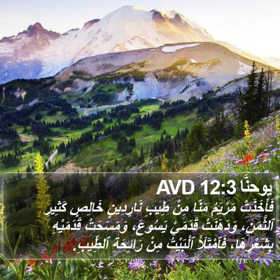 يوحنَّا 12:3 AVD Bible Verse Image