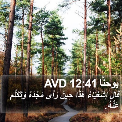 يوحنَّا 12:41 AVD Bible Verse Image