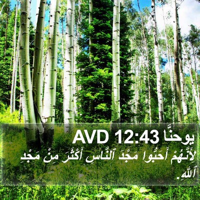 يوحنَّا 12:43 AVD Bible Verse Image