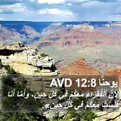 يوحنَّا 12:8 AVD Bible Verse Image