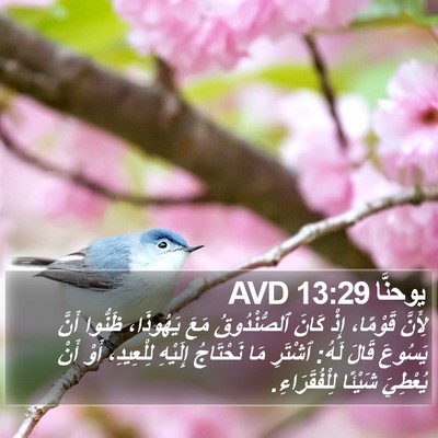 يوحنَّا 13:29 AVD Bible Verse Image
