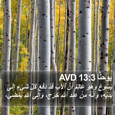 يوحنَّا 13:3 AVD Bible Verse Image