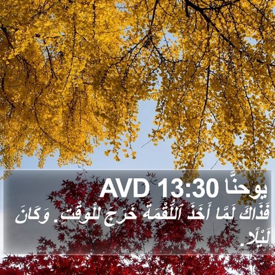 يوحنَّا 13:30 AVD Bible Verse Image