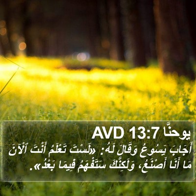 يوحنَّا 13:7 AVD Bible Verse Image