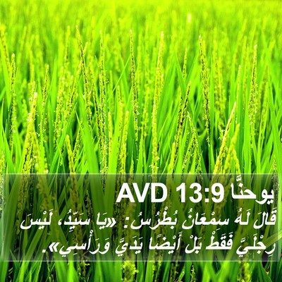 يوحنَّا 13:9 AVD Bible Verse Image