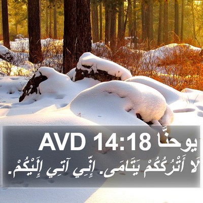 يوحنَّا 14:18 AVD Bible Verse Image