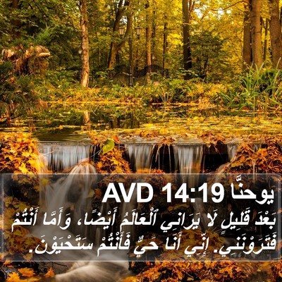 يوحنَّا 14:19 AVD Bible Verse Image