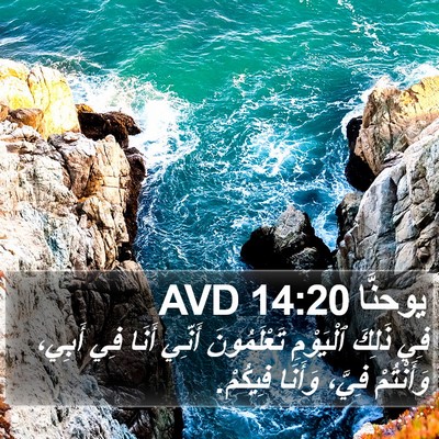 يوحنَّا 14:20 AVD Bible Verse Image
