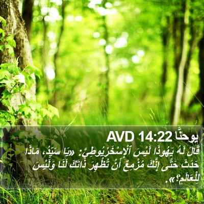 يوحنَّا 14:22 AVD Bible Verse Image